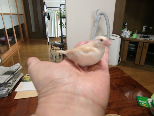 ����N���[������