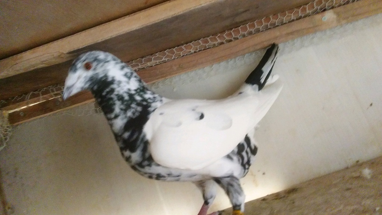 ��΁��@�Q�O�P�X���܂�