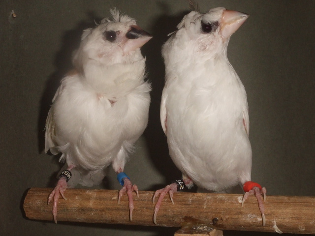 �|���\�o���y�A�[�@�Y���琗����@�������ɐ��ނ͂��ł��B