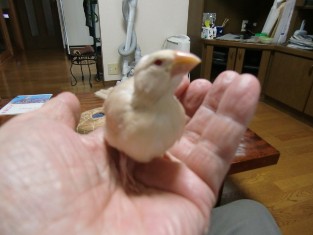 ����N���[�������@1