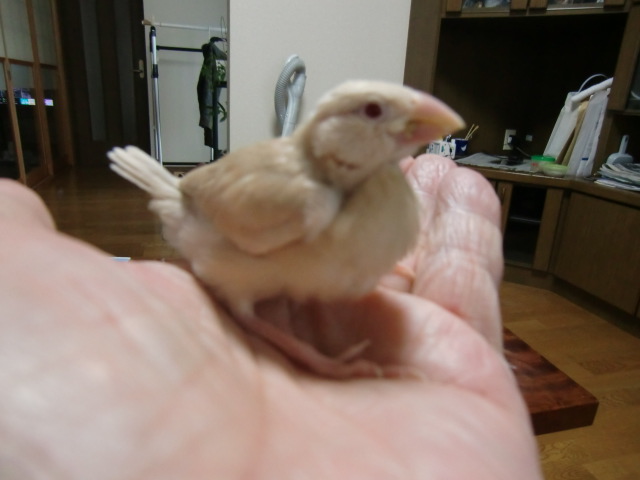 ����N���[������ 2