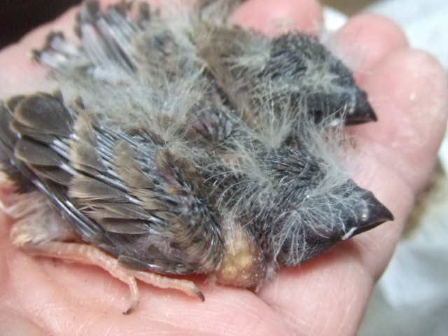 ����������u���b�N�`�[�N�@��H