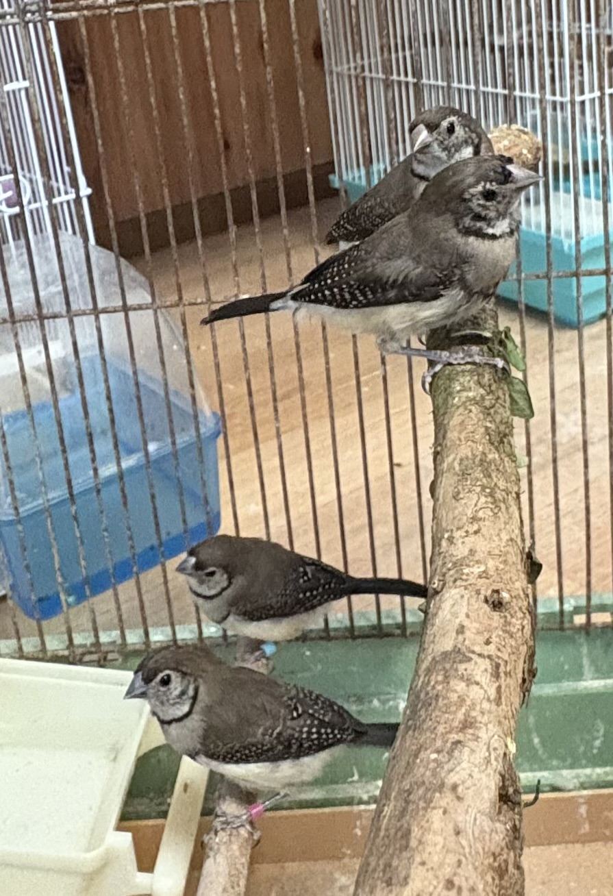 �J�m�R�X�Y���y�A